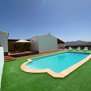 https://el-olivar-lolo-suites.in-canary-islands.com